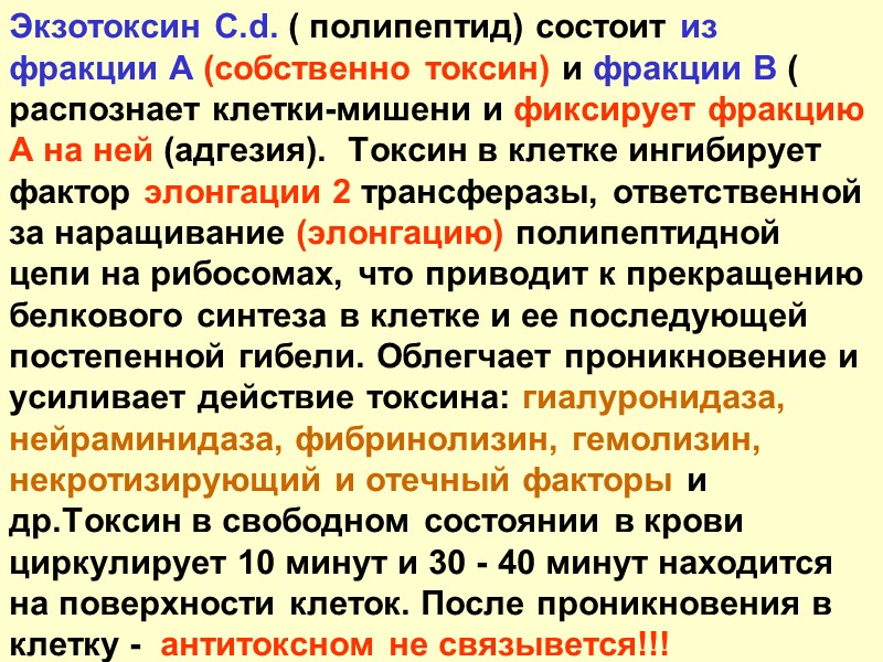 23 ЛЕЧЕНИЕ Обязательная госпитализация и постельный режим (28 дней). Немедленное введение антитоксина: (в тысячах