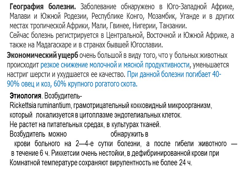 Эпизоотология. К Г. и. наиболее восприимчивы мериносы и овцы английских пород. Молодые Эпизоотология. К Г. и. наиболее восприимчивы мериносы и овцы английских пород. Молодые