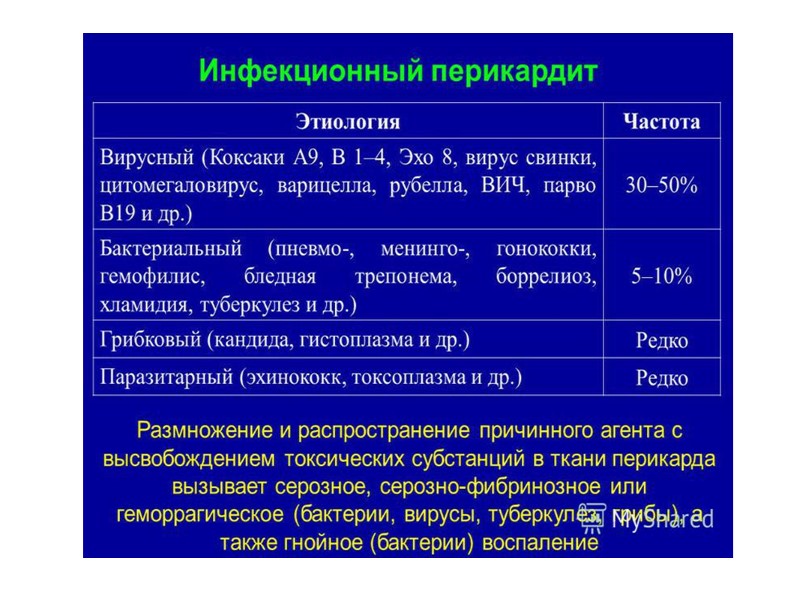 Патогенез. Попав через укус инвазированного клеща в организм животного, риккетсии размножаются в Патогенез. Попав через укус инвазированного клеща в организм животного, риккетсии размножаются в
