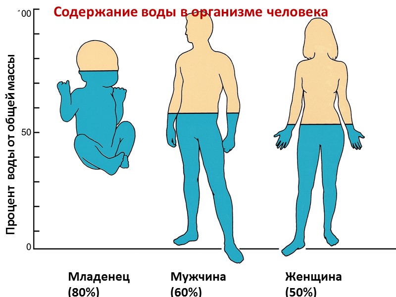 С4. Смешали 250 мл раствора ортофосфата натрия (ρ=1,03 г/мл) с массовой долей 10% и