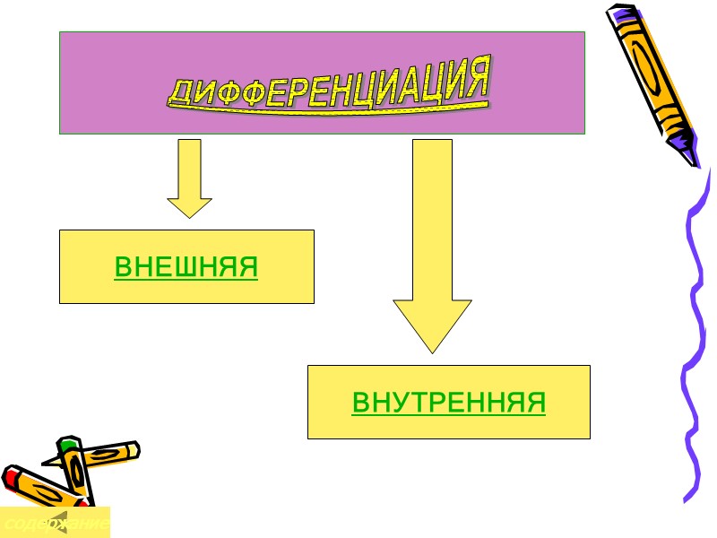 ВИДЫ ДИФФЕРЕНЦИАЦИИ Внешняя – связана с профильным обучением и организацией разнотипных О. У. Внутренняя