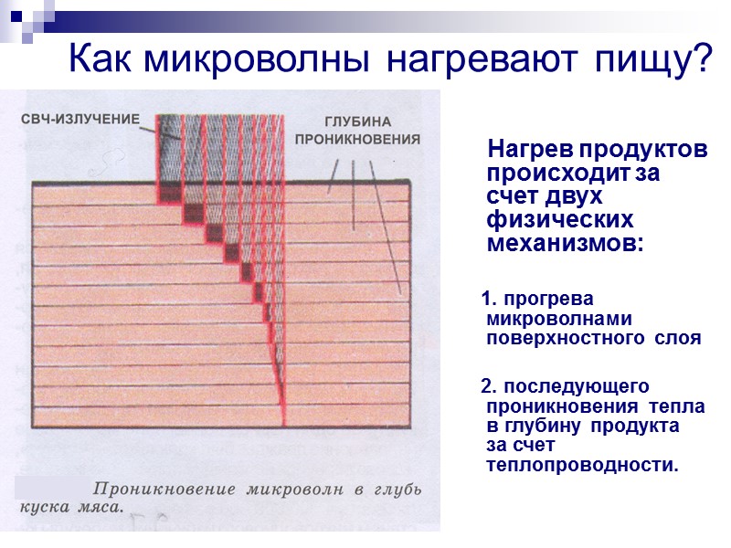 Строение металлов + + + + + + + + + - - -