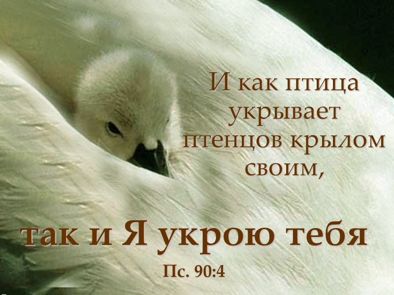 Я могу сделать для тебя несравненно больше, нежели ты просишь или помышляешь... Еф. 3:20