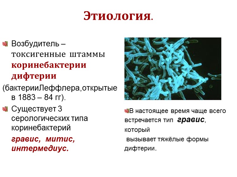 Этиология дифтерии. Коринебактерии дифтерии микробиология. Токсигенные штаммы дифтерии. Токсигенные и нетоксигенные штаммы коринебактерий дифтерии.