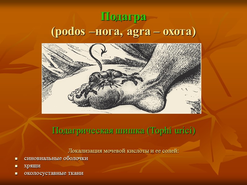 Перинуклеарный липофусциноз кардиомиоцитов    Глыбки липофусцина в цитоплазме гепатоцитов