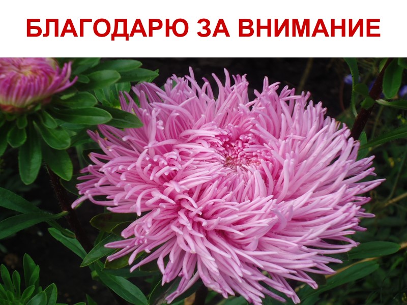 ВЫБЕРИТЕ ТОЛЬКО ОДИН! ПРАВИЛЬНЫЙ ОТВЕТ 1.Характерный путь передачи дифтерии     