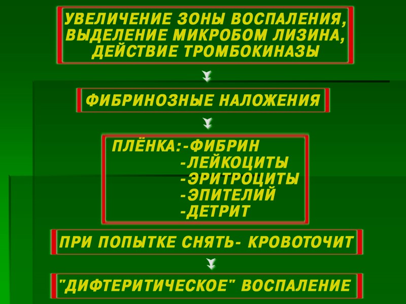 3   мес.  –  АКДС 4   мес.  –