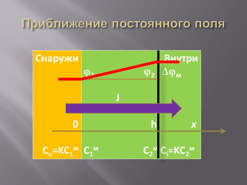 ЭПР Различия в спектрах ЭПР в зависимости от способа прикрепления спиновой метки к фосфолипидной