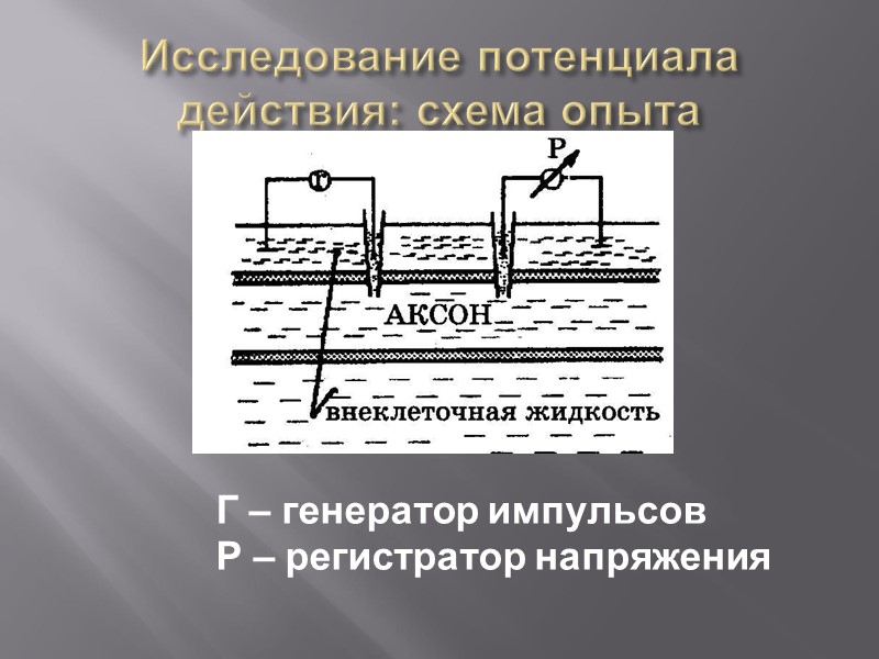 Образование поры в ЭП– электрический пробой