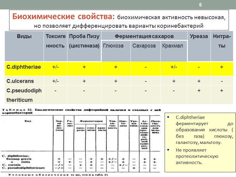 26 Схема бактериологической диагностики дифтерии