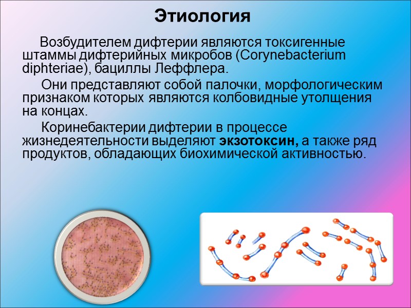 Этиология картинки для презентации