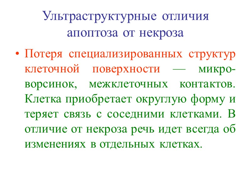 ИНДУКТОРЫ АПОПТОЗА Агенты, вызывающие повреждение: Температура Вирусная инфекция Бактериальные токсины Онкогены Опухолевые супрессоры Цитотоксические