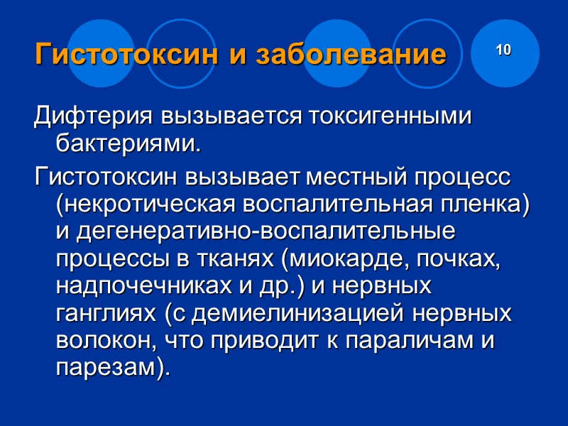 Систематика возбудителя дифтерии Домен – Bacteria Тип В XIII Actinobacteria Класс I Actinobacteria Порядок