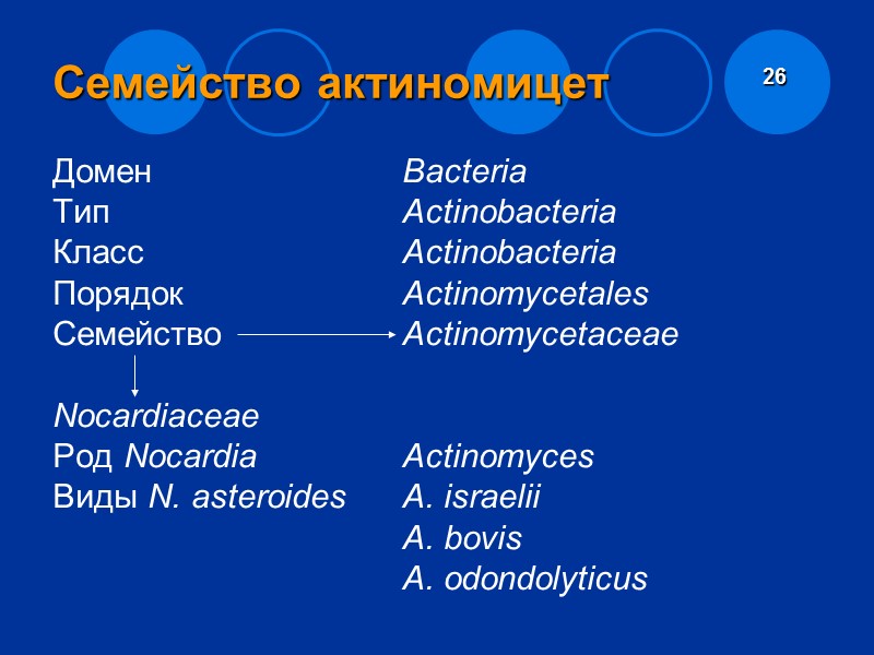Возбудители микобактериозов M. avium-intracellulare – вызывает генерализованные поражения M. fortuitum – осложняет течение при