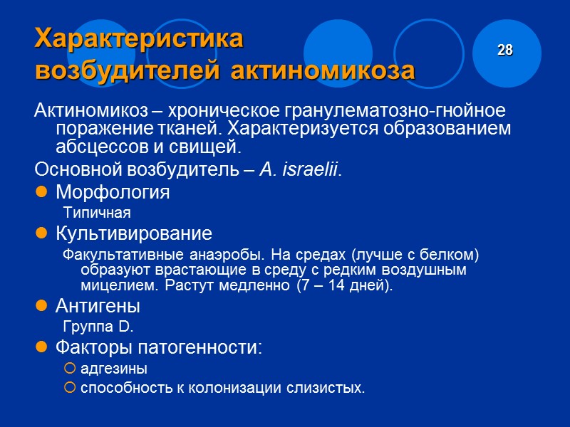 Патогенез язвы Бурули В начале – образование уплотнения на предплечье или голени (реже на