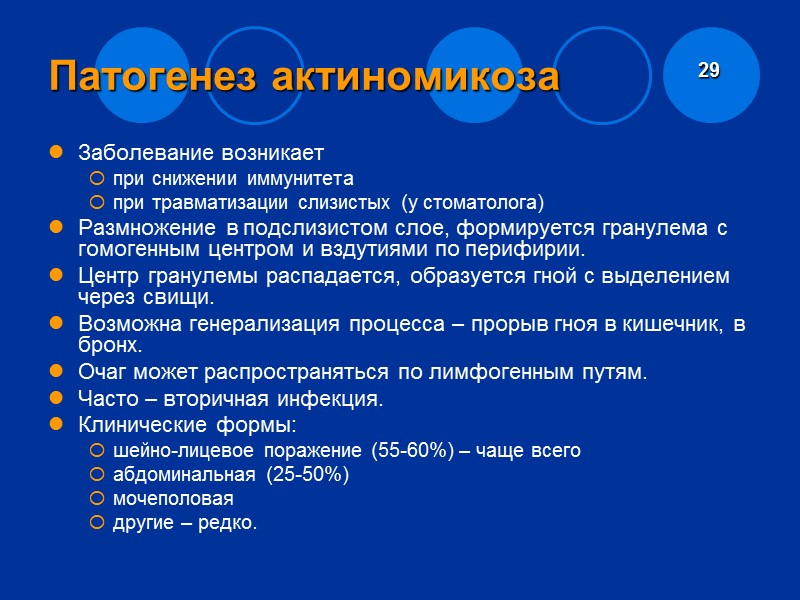 Семейство актиномицет Домен   Bacteria Тип    Actinobacteria Класс  