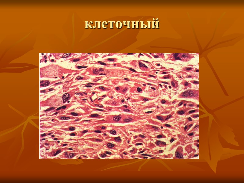 Структурные уровни изучения патологии организменный, системный, органный, тканевой, клеточный, субклеточный (ультраструктурный), молекулярный.
