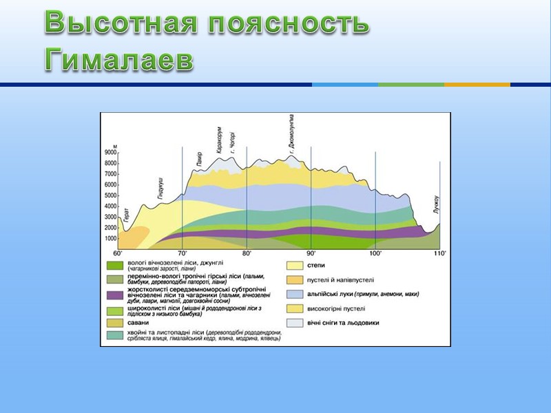 Высотная поясность алтая презентация