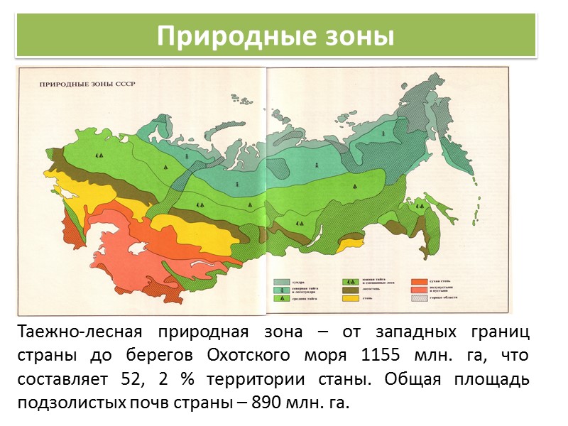 Теория подзолоообразования Пономаревой В.В. Главным фактором оподзоливания служит бедность лесного опада зольными элементами и