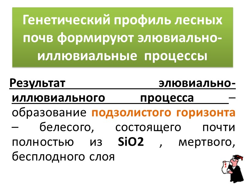 Дерново-подзолистая под сосняком Дерново-подзолистая под сосново-березовым лесом