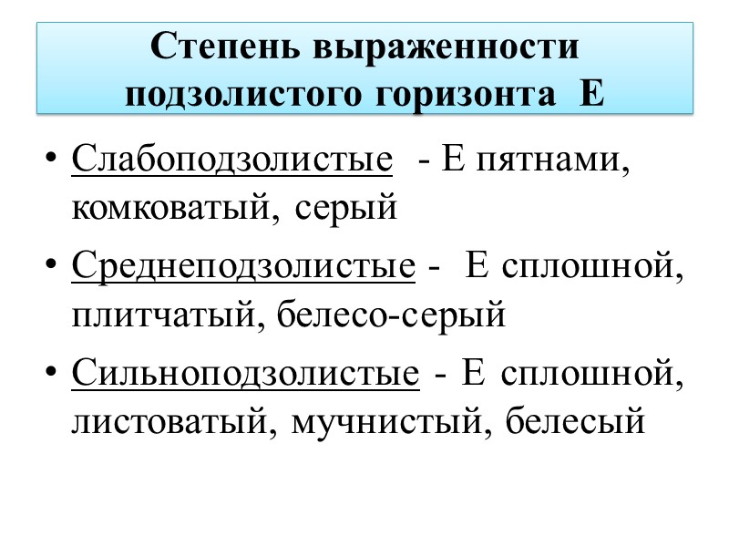 Подзолистая почва под сосновым лесом