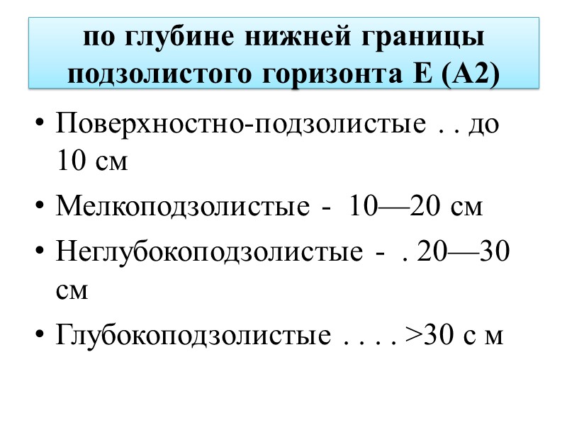 Профильная характеристика подзолистой (дерново-подзолистой) почвы под лесом