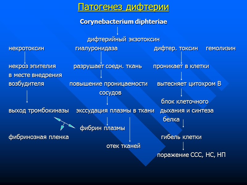 Доза ПДС при различных клинических формах дифтерии (тыс.МЕ)