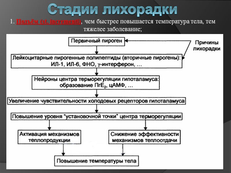 Основные типы лихорадок  постоянная лихорадка (febris continua) – долго держится высокая температура, в