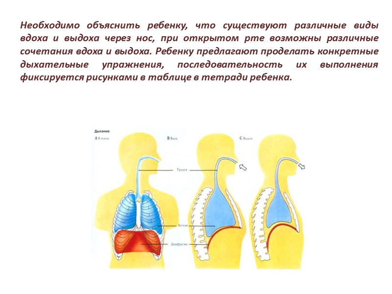 Необходимо объяснить ребенку, что существуют различные виды вдоха и выдоха через нос, при открытом