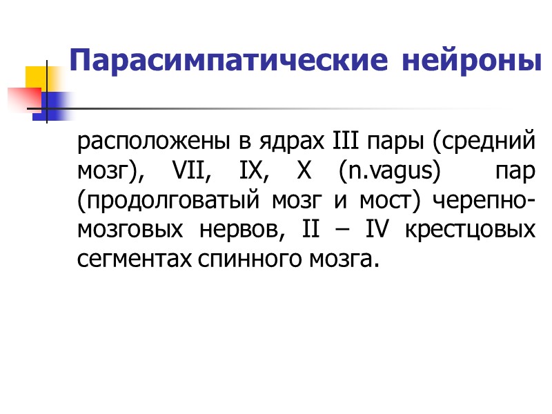 Патогенез Острое развитие вегетативной дисфункции клинически проявляется вегетативным кризом. Патогенез Острое развитие вегетативной дисфункции клинически проявляется вегетативным кризом.
