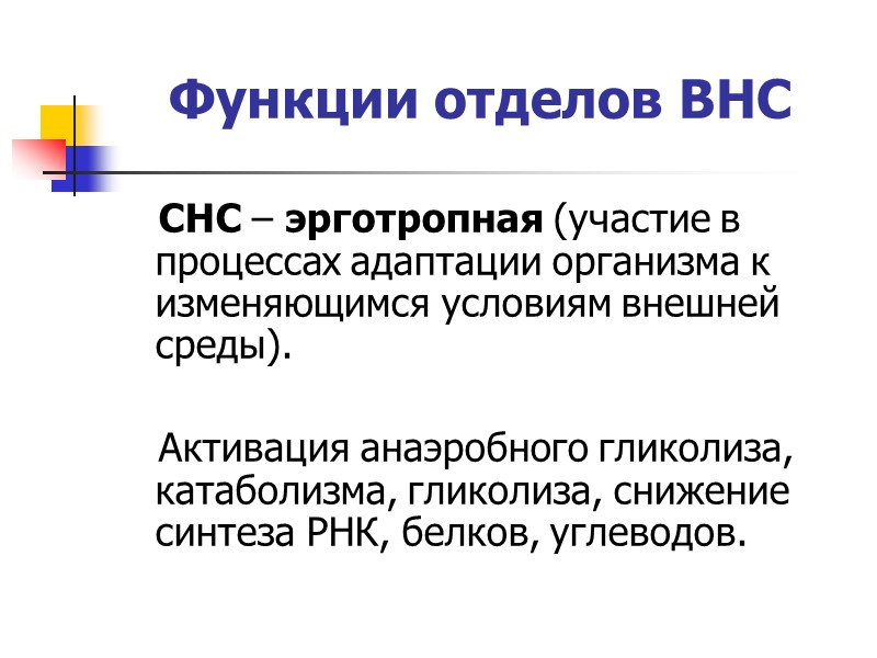 Вегетативный статус Вегетативный статус