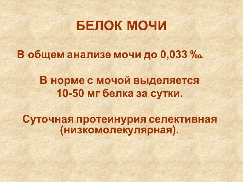 Раздел I КЛИНИЧЕСКАЯ АНАТОМИЯ  И ФИЗИОЛОГИЯ ПОЧЕК  И МОЧЕВЫВОДЯЩИХ ПУТЕЙ