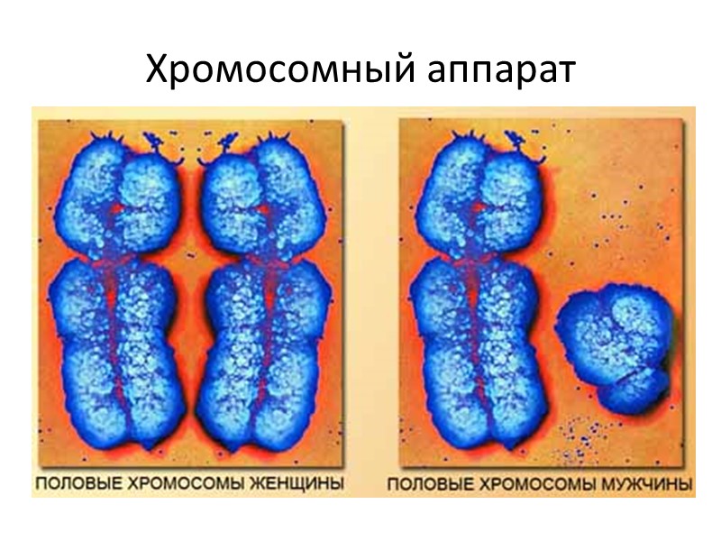 Влияние на психомоторные качества