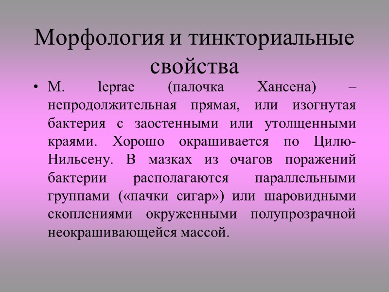 Туберкулез у кроликов