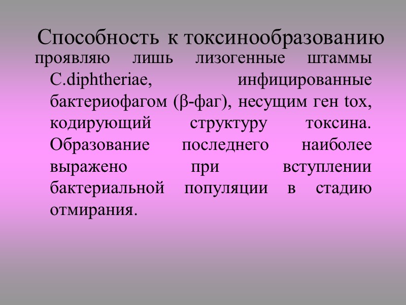 Corynebacterium diphtheriae, окраска по Леффлеру