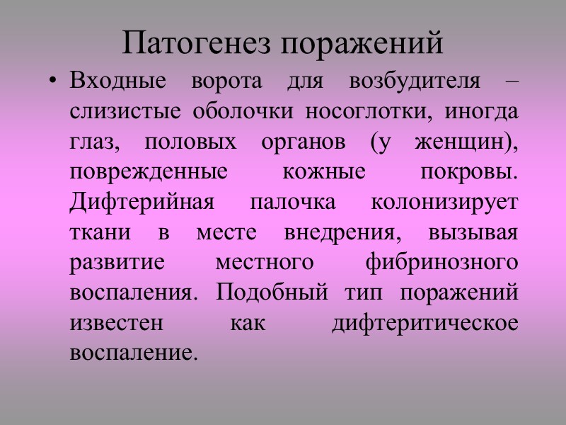 У C. diphtheriae выделяю три биовара – gravis, mitis, intermedius. Бактерии биовара gravis –