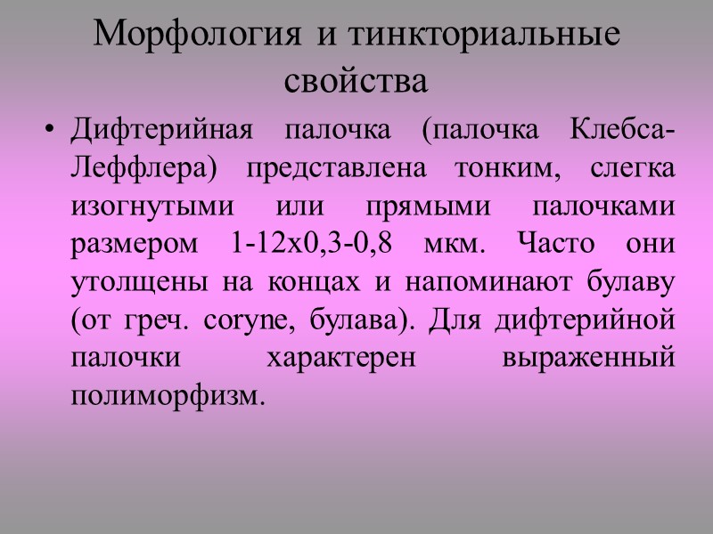 Лепроматозная форма Поражения локализуются преимущественно на лице и дистальных отделах конечностей в виде сплошных