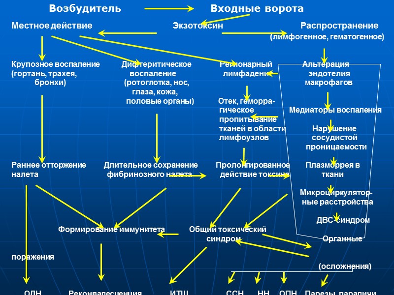 Дифтерия (Diphteria) — острое антропонозное бактериальное заболевание, характеризующееся явлениями общей интоксикации и фибринозным воспалением