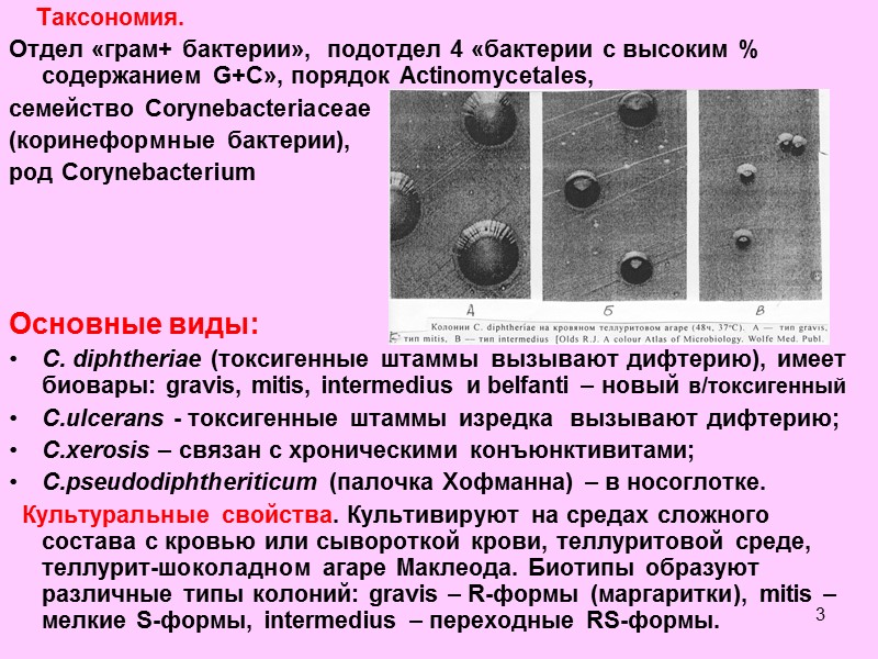 Возбудителя дифтерия возможна