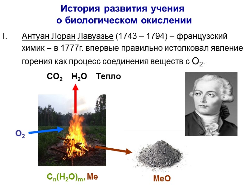 Принцип работы цепи окислительного фосфорилирования Окисление Электро Химический потенциал Фосфорилирования Комплекс I Комплекс II