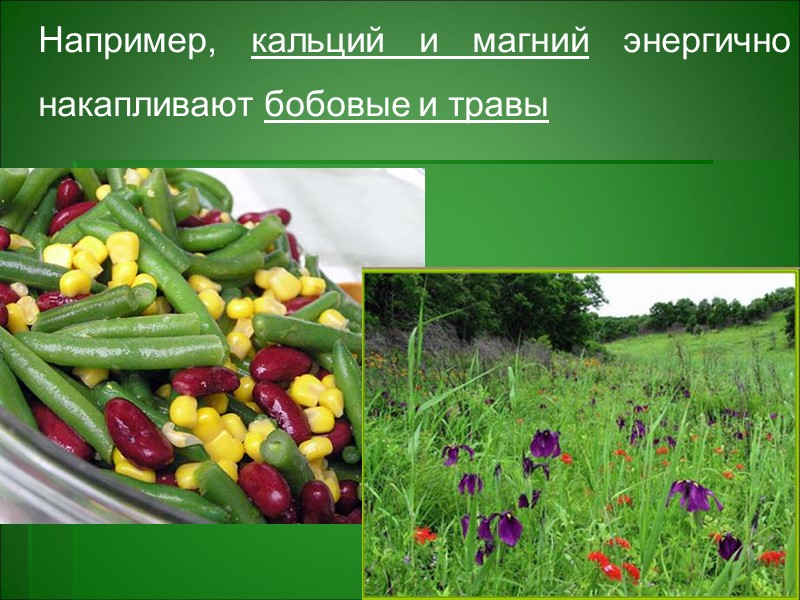 Главные компоненты гумусового вещества почв: Углерод, водород, кислород, азот Второстепенные компоненты: S, P, Главные компоненты гумусового вещества почв: Углерод, водород, кислород, азот Второстепенные компоненты: S, P,