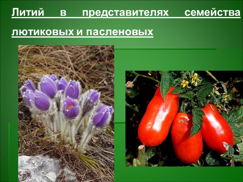 Почва – депонирующая среда, в отличие от атмосферы и гидросферы → загрязняющие вещества сохраняются Почва – депонирующая среда, в отличие от атмосферы и гидросферы → загрязняющие вещества сохраняются