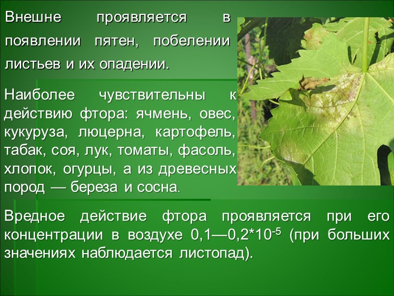 Во-вторых, микроорганизмы, активно воздействуя на минералы, разрушают их и переводят элементы минерального питания растений Во-вторых, микроорганизмы, активно воздействуя на минералы, разрушают их и переводят элементы минерального питания растений