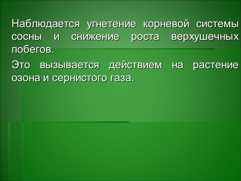 Озон Высокие содержания вызывают набухание листьев и через некоторое время нижняя сторона их Озон Высокие содержания вызывают набухание листьев и через некоторое время нижняя сторона их
