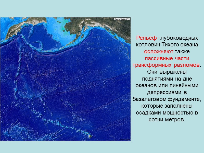 Выбери моря тихого океана. Рельеф дна Тихого океана котловины. Карта рельефа дна мирового океана. Рельеф дна морей Тихого океана. Рельефы Тихого океана 7 класс география.