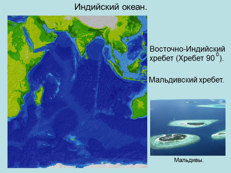 Рельеф дна тихого океана хребты