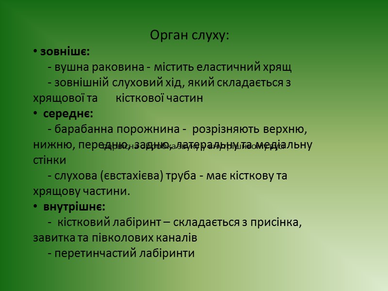 Пошкодження задньої частини третьої лобової закрутки лівої півкулі, призводить до порушення мовної артикуляції –
