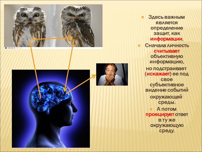 Уровни организации личности –     творческий  территориальный  социальный 