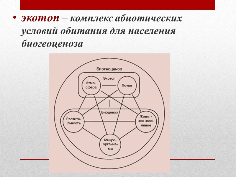 Смена экосистем ( сукцессия)  Сукцессия – закономерный и последовательный процесс, смены сообществ на