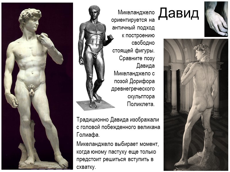 Битва лапифов с кентаврами Кентавры напали на древнегреческое племя лапифов во время свадебного пира,